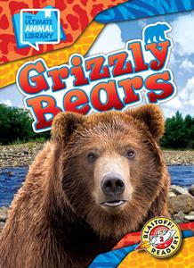 Grizzly Bears di Chris Bowman edito da Bellwether Media