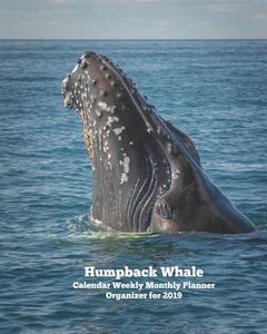 Humpback Whale Calendar Weekly Monthly Planner Organizer for 2019 di It's about Time edito da LIGHTNING SOURCE INC