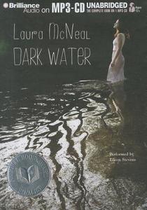 Dark Water di Laura McNeal edito da Brilliance Corporation