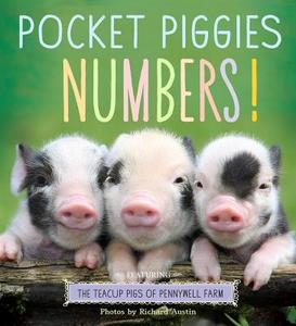 Pocket Piggies Numbers! di Richard Austin edito da Algonquin Books (division Of Workman)