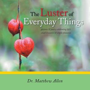 The Luster of Everyday Things di Matthew Allen, Dr Matthew Allen edito da Trafford Publishing