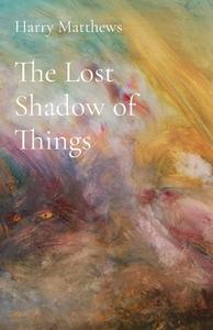 THE LOST SHADOW OF THINGS di HARRY MATTHEWS edito da LIGHTNING SOURCE UK LTD