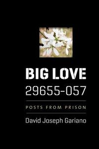 Big Love, 29655-057: Posts from Prison di David Joseph Gariano edito da Createspace Independent Publishing Platform