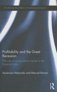 Profitability and the Great Recession di Ascension (New York University Mejorado, Manuel Roman edito da Taylor & Francis Ltd