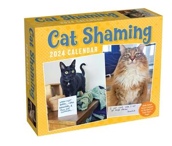 Cat Shaming 2024 Day-to-Day Calendar di Pedro Andrade edito da Andrews McMeel Publishing