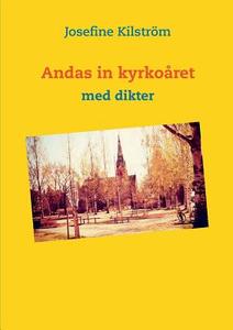 Andas in kyrkoåret di Josefine Kilström edito da Books on Demand