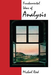 Fundamental Ideas of Analysis di Michael C. Reed, Lajoux Alexandra Reed edito da John Wiley & Sons